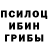 Галлюциногенные грибы MAGIC MUSHROOMS SharkiYaa AbdullaYevaa